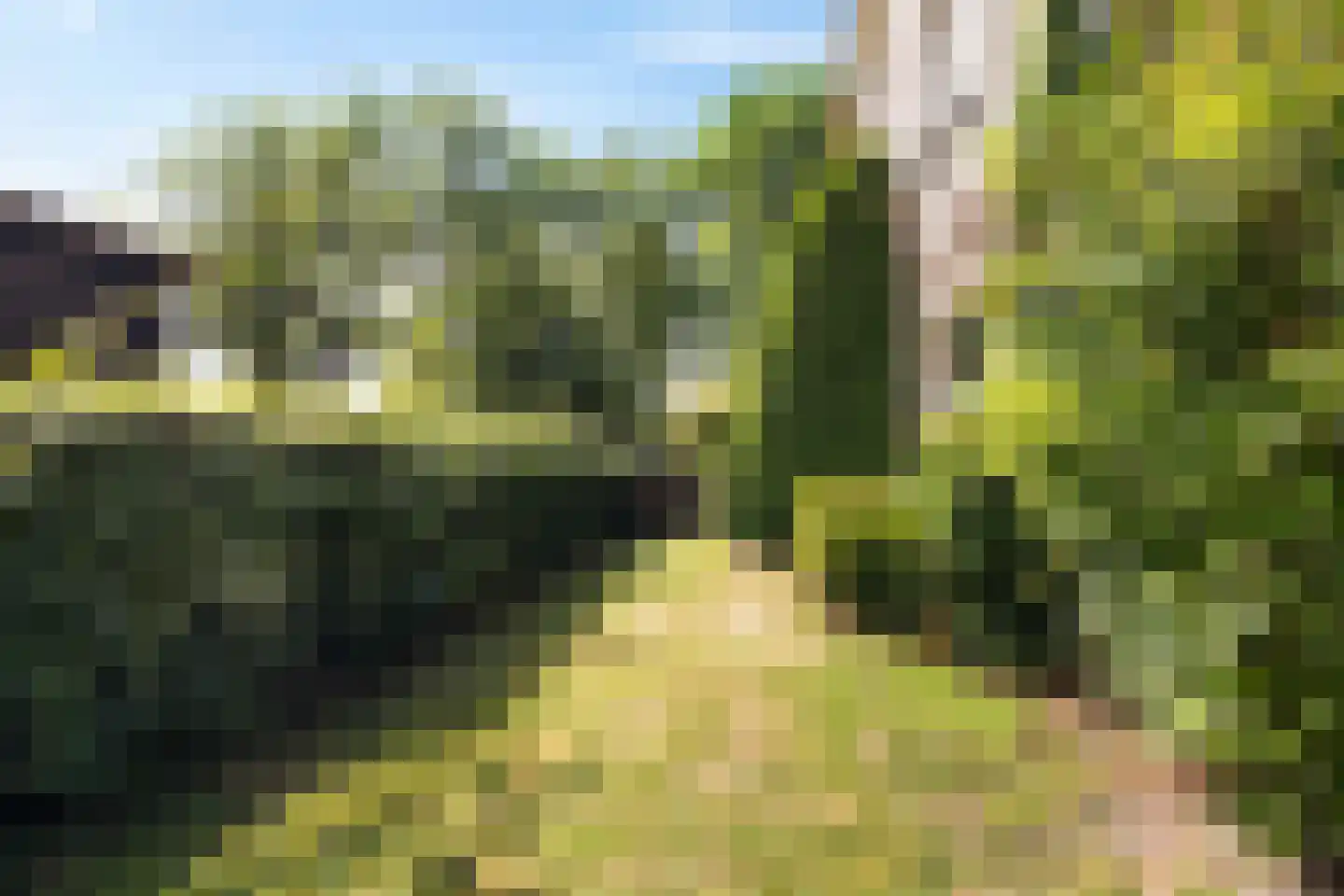 Snipstrjitte 2 Stiens thumbnail 34