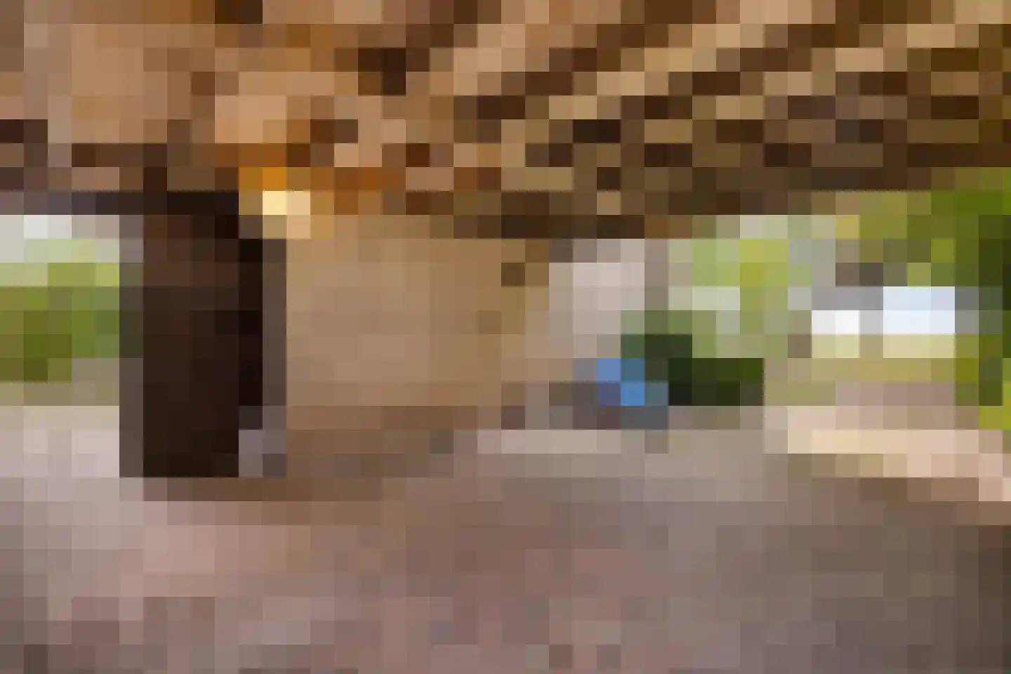 Snipstrjitte 2 Stiens thumbnail 37