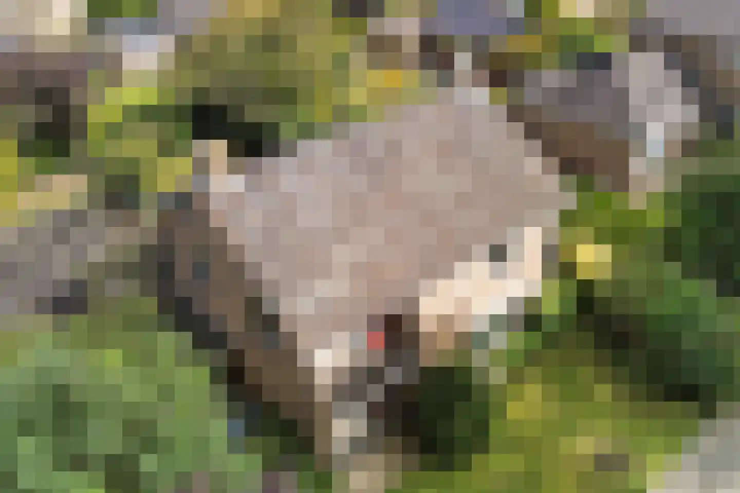 Snipstrjitte 2 Stiens thumbnail 42