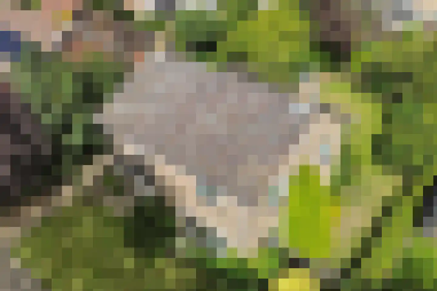 Snipstrjitte 2 Stiens thumbnail 43