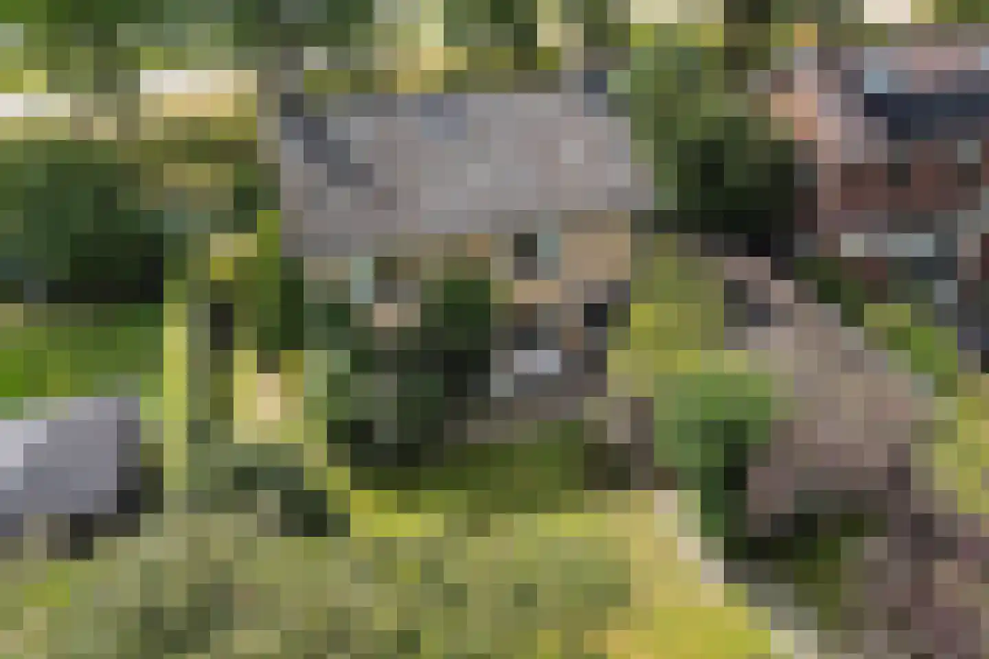 Snipstrjitte 2 Stiens thumbnail 44
