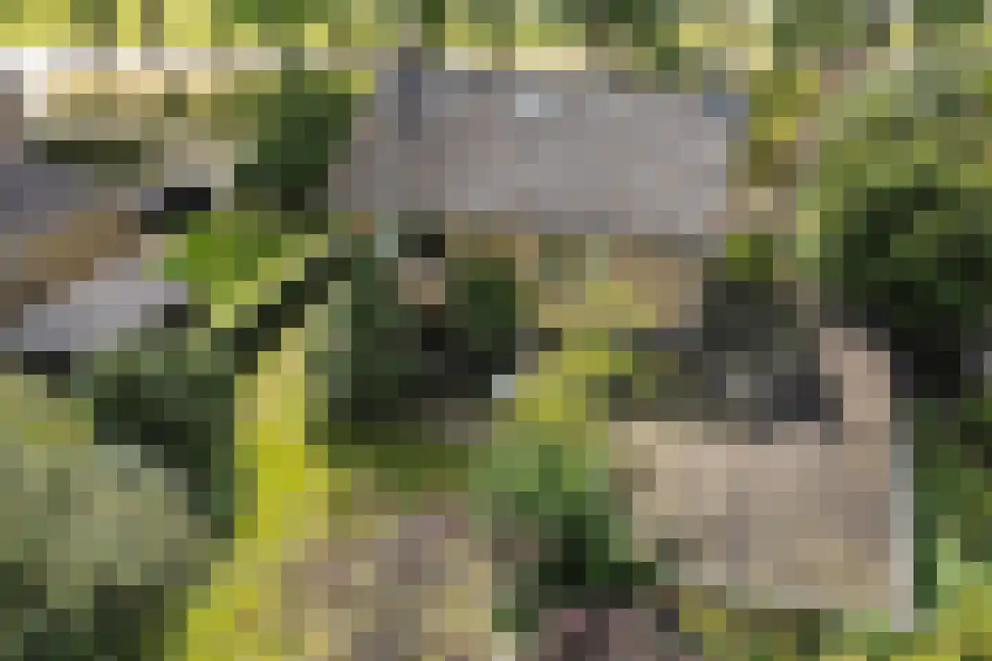 Snipstrjitte 2 Stiens thumbnail 45