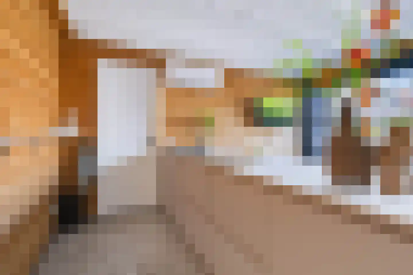 Snipweg 18 Apeldoorn thumbnail 31