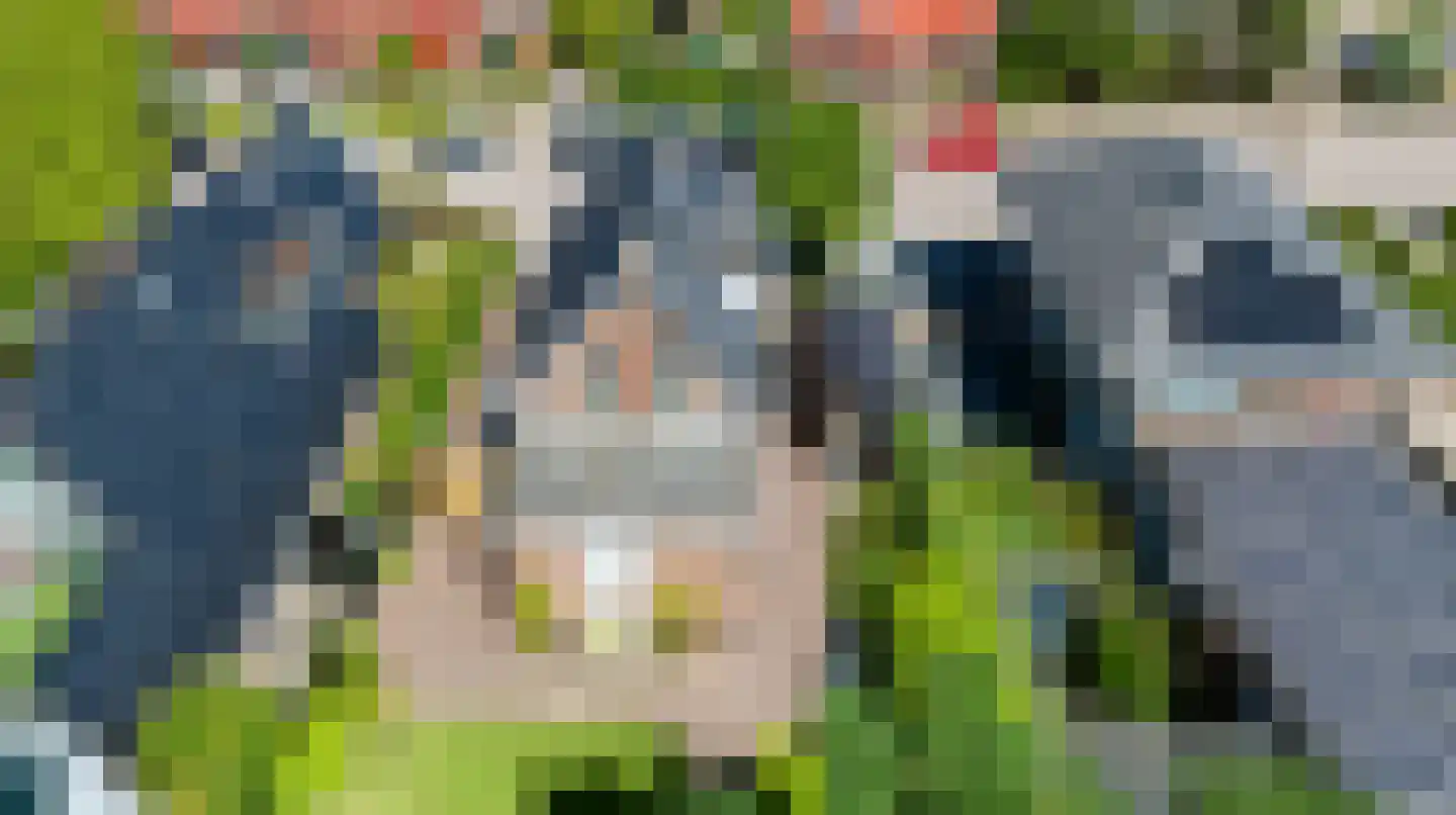 Snipweg 18 Apeldoorn thumbnail 34