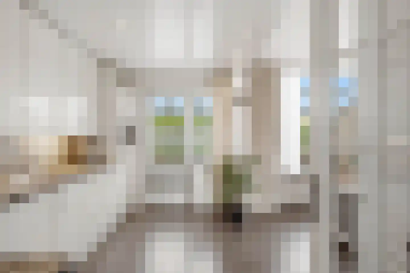 Snipweg 26 Mill thumbnail 12