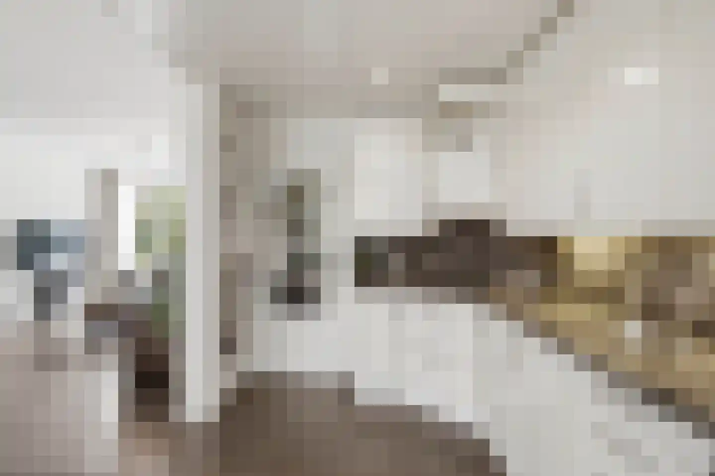 Snipweg 26 Mill thumbnail 13