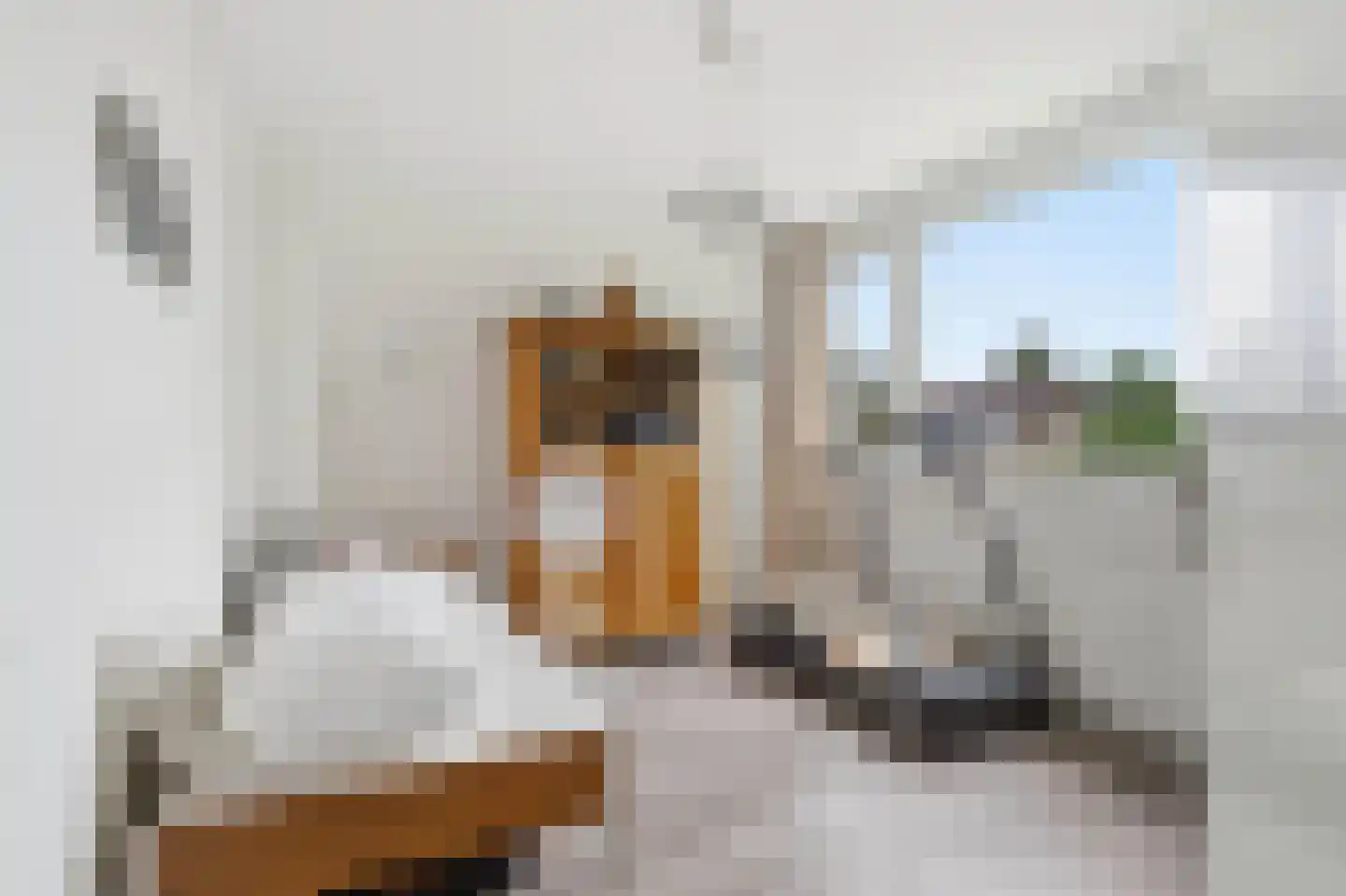 Snipweg 26 Mill thumbnail 17