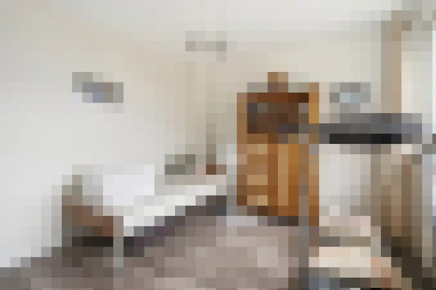 Snipweg 26 Mill thumbnail 18
