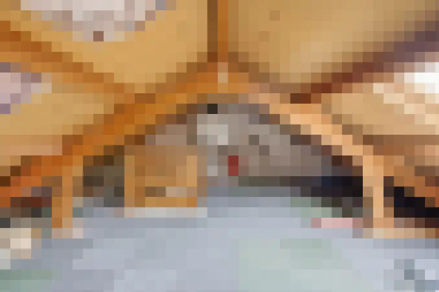 Snipweg 26 Mill thumbnail 24