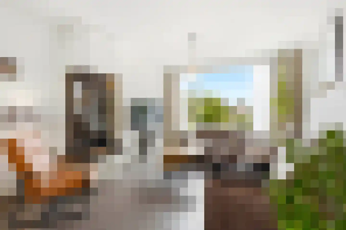 Snipweg 26 Mill thumbnail 4