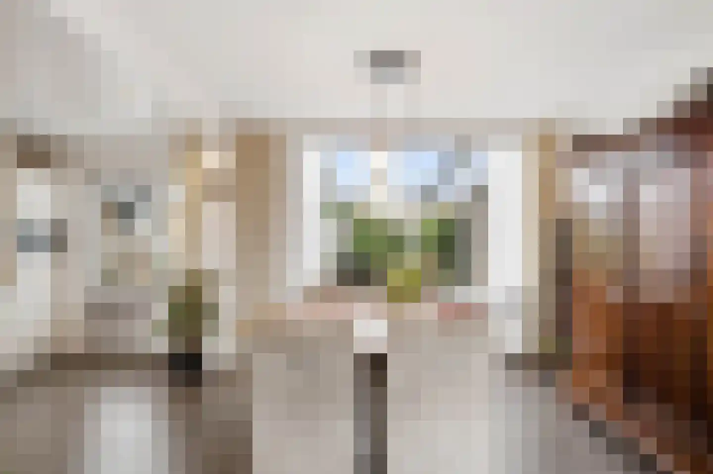 Snipweg 26 Mill thumbnail 8