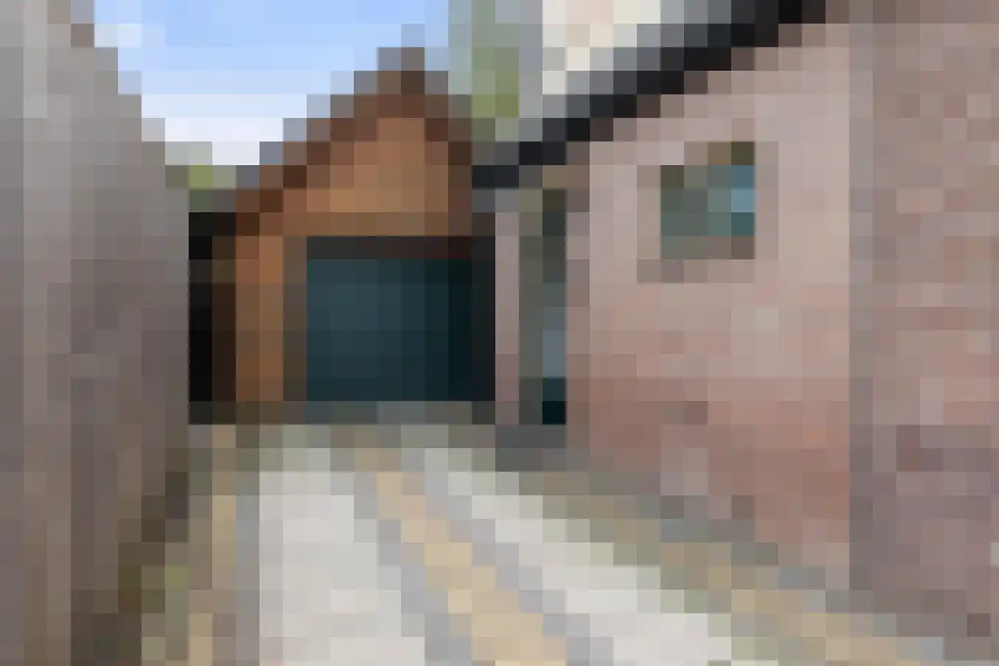 Snipweg 36 Apeldoorn thumbnail 21