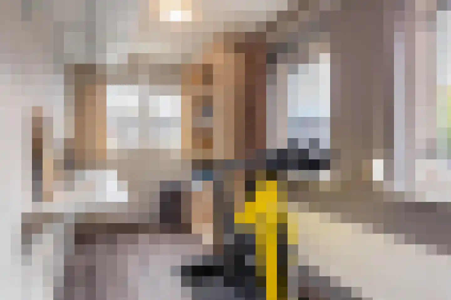 Snipweg 36 Apeldoorn thumbnail 32