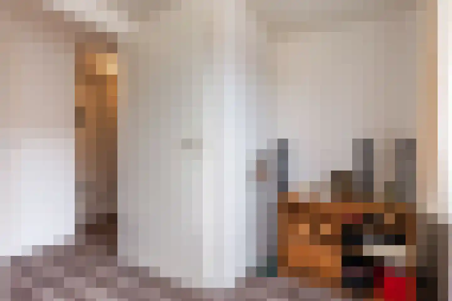 Snipweg 36 Apeldoorn thumbnail 34