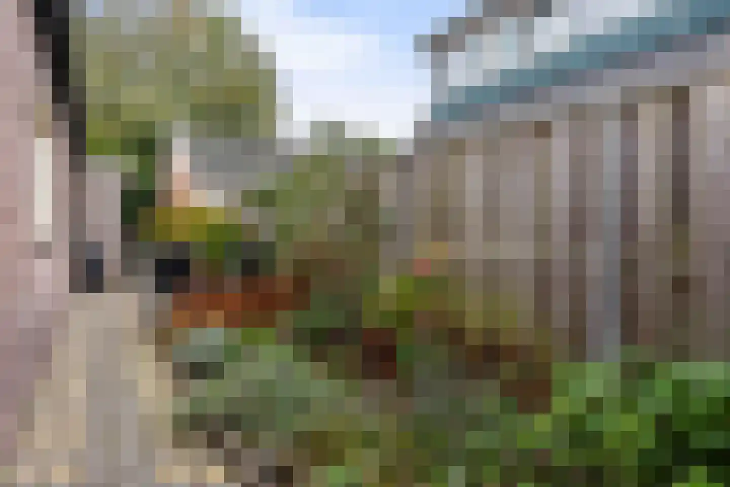 Snipweg 36 Apeldoorn thumbnail 38