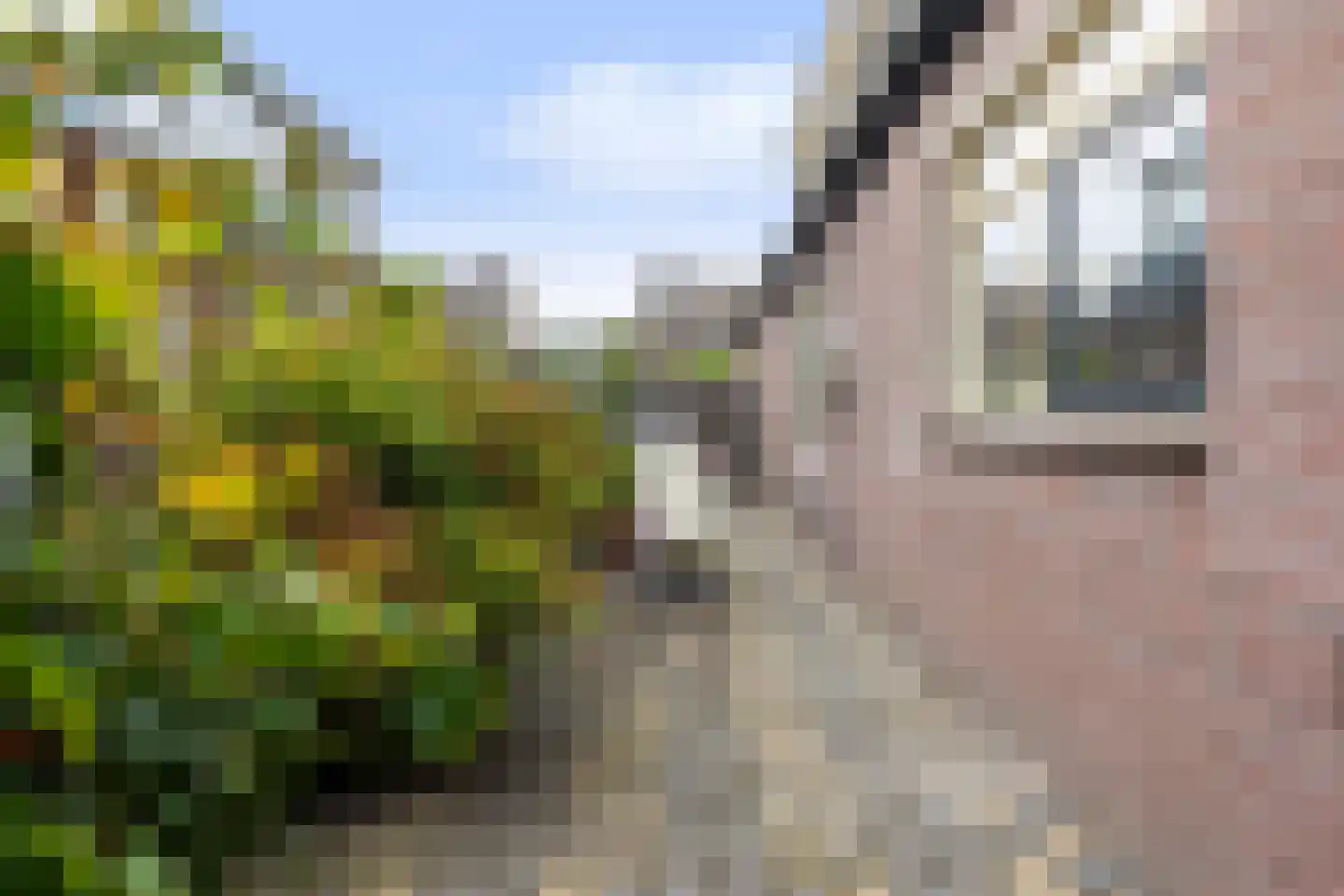 Snipweg 36 Apeldoorn thumbnail 40