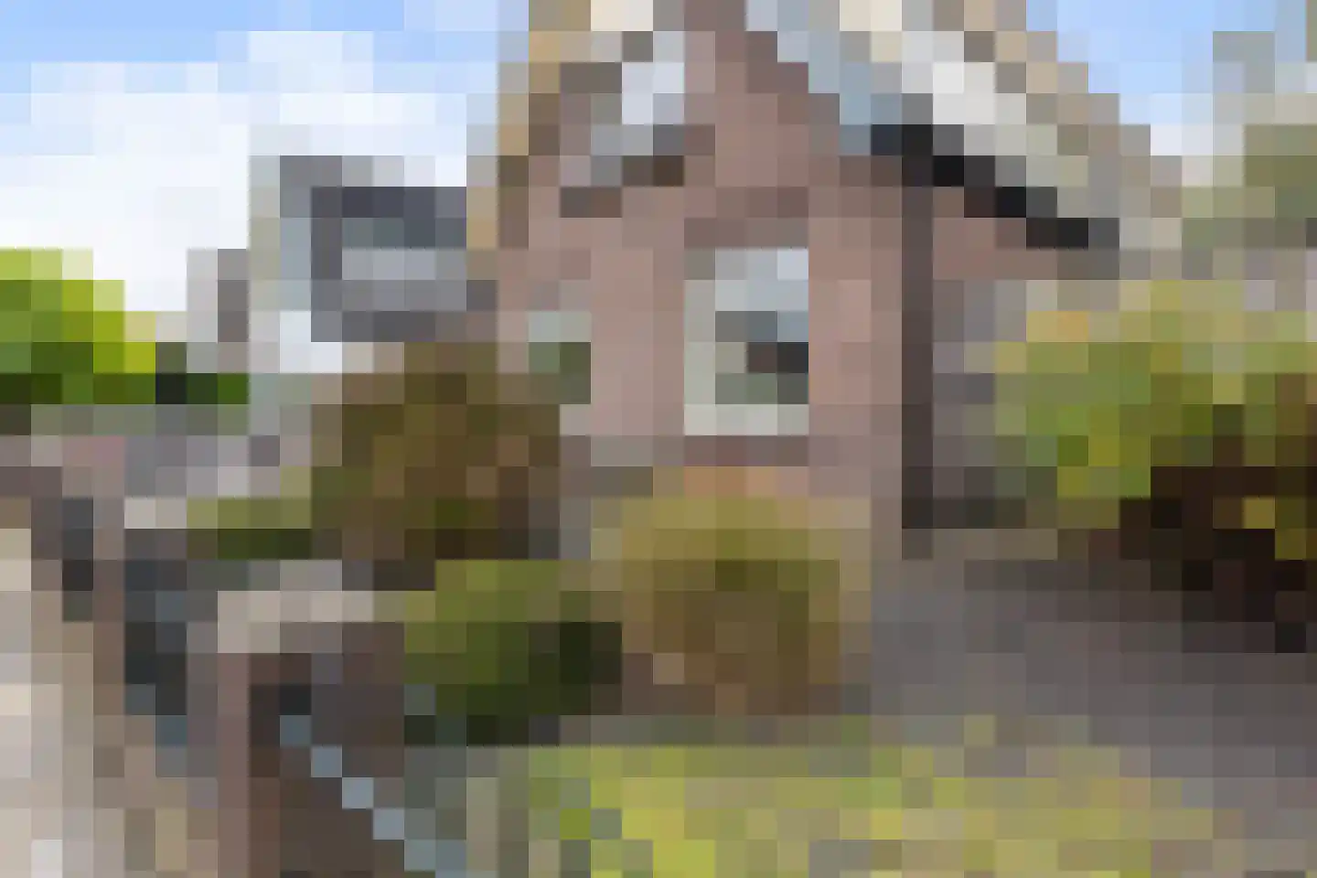 Snipweg 36 Apeldoorn thumbnail 40