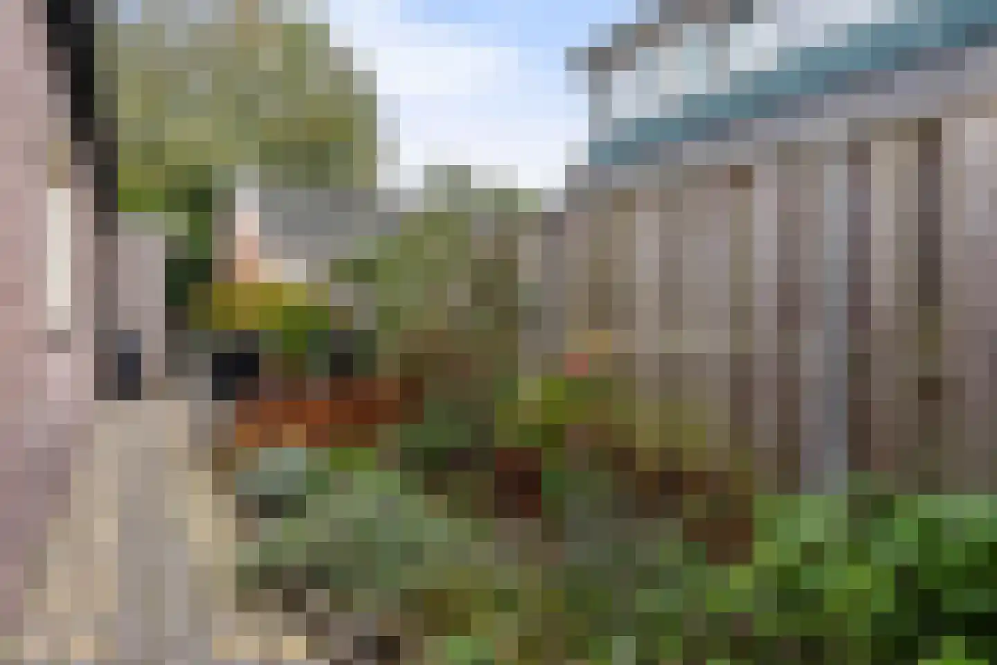 Snipweg 36 Apeldoorn thumbnail 41