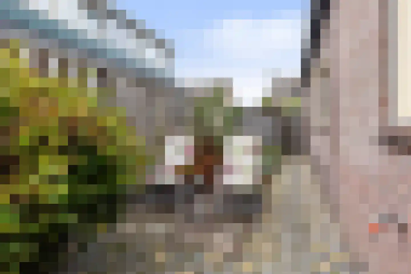 Snipweg 36 Apeldoorn thumbnail 42