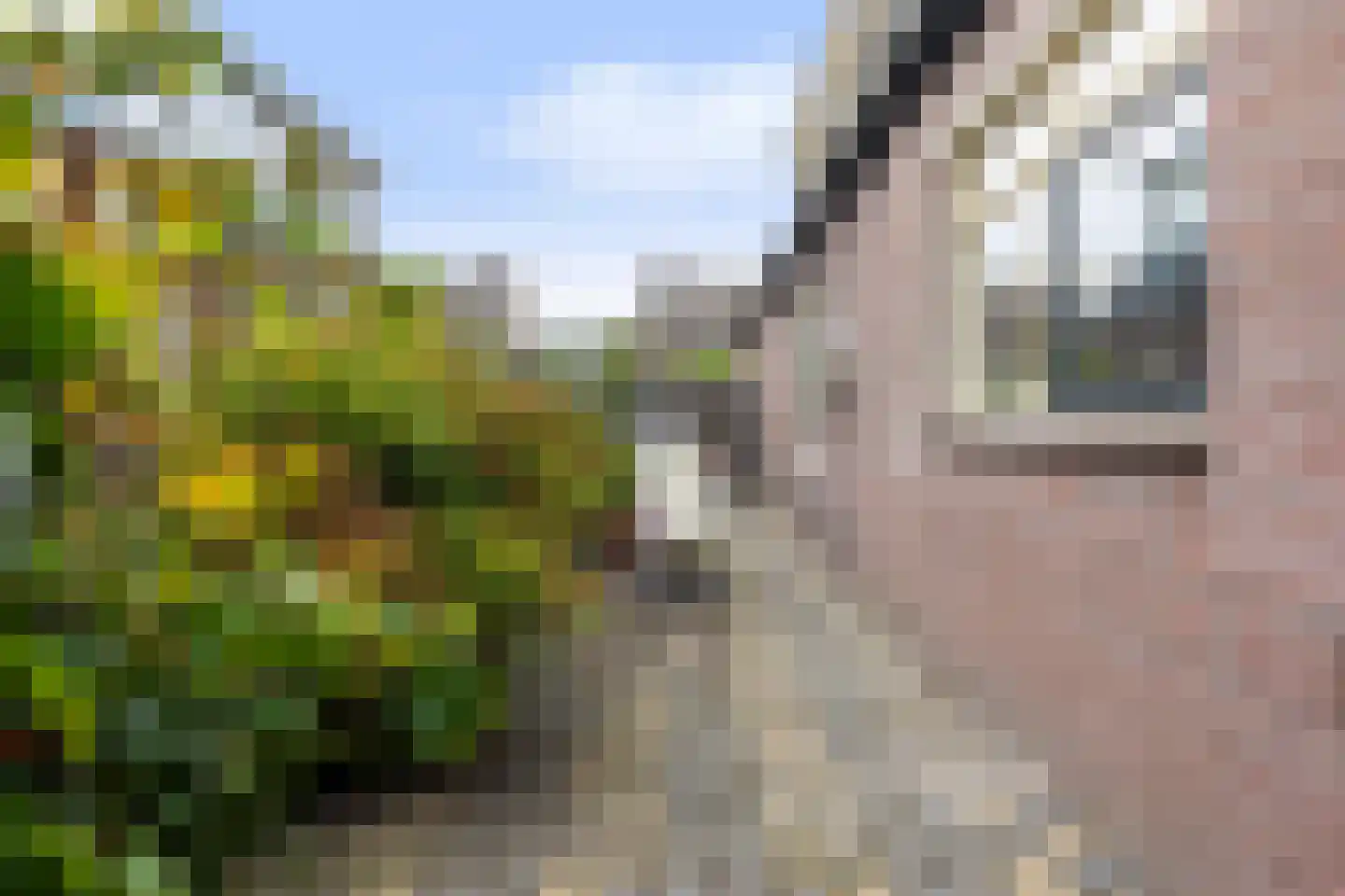 Snipweg 36 Apeldoorn thumbnail 43
