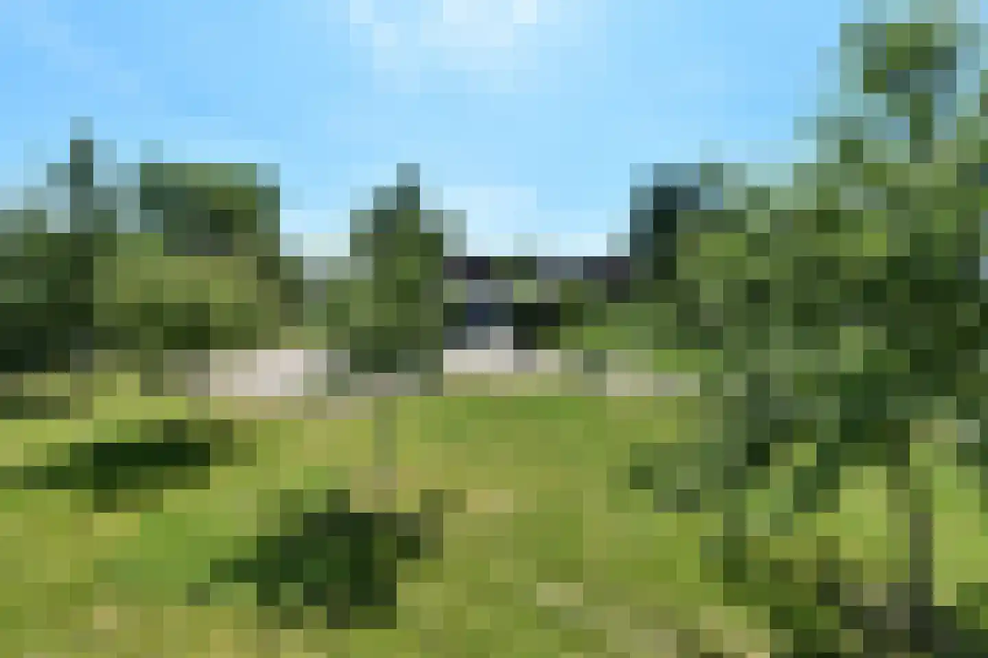 Snodenhoeksestraat 16 Elst thumbnail 19