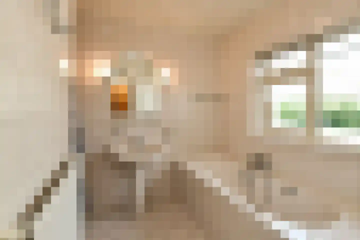 Snodenhoeksestraat 16 Elst thumbnail 33