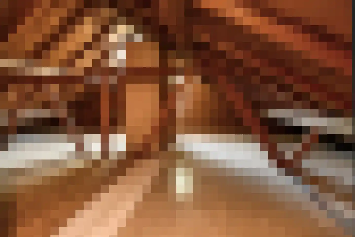 Snodenhoeksestraat 16 Elst thumbnail 38