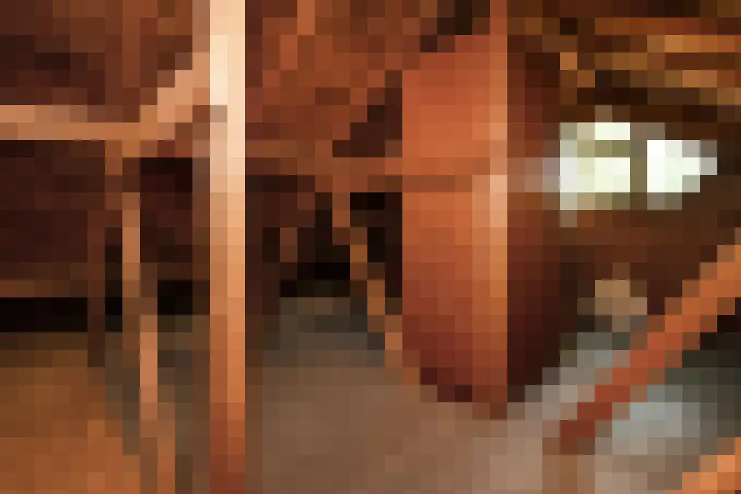 Snodenhoeksestraat 16 Elst thumbnail 39