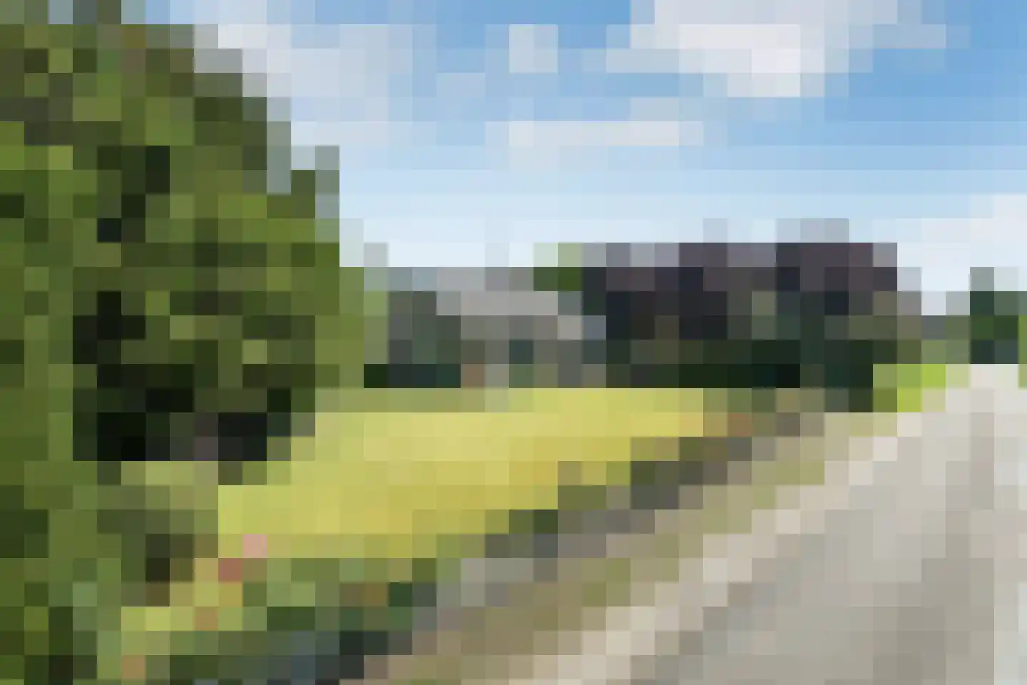 Snodenhoeksestraat 16 Elst thumbnail 4