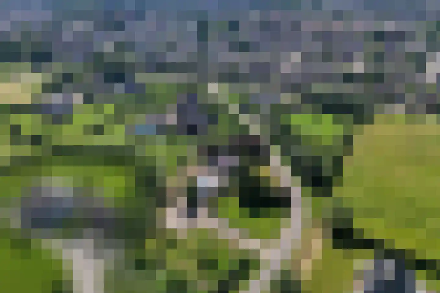 Snodenhoeksestraat 16 Elst thumbnail 41