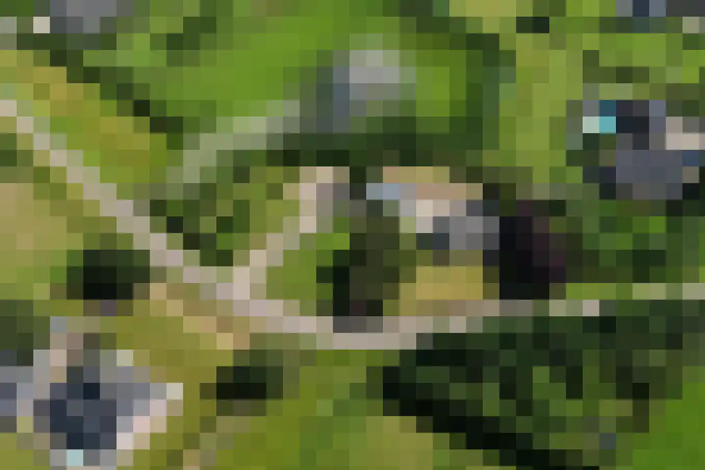 Snodenhoeksestraat 16 Elst thumbnail 6
