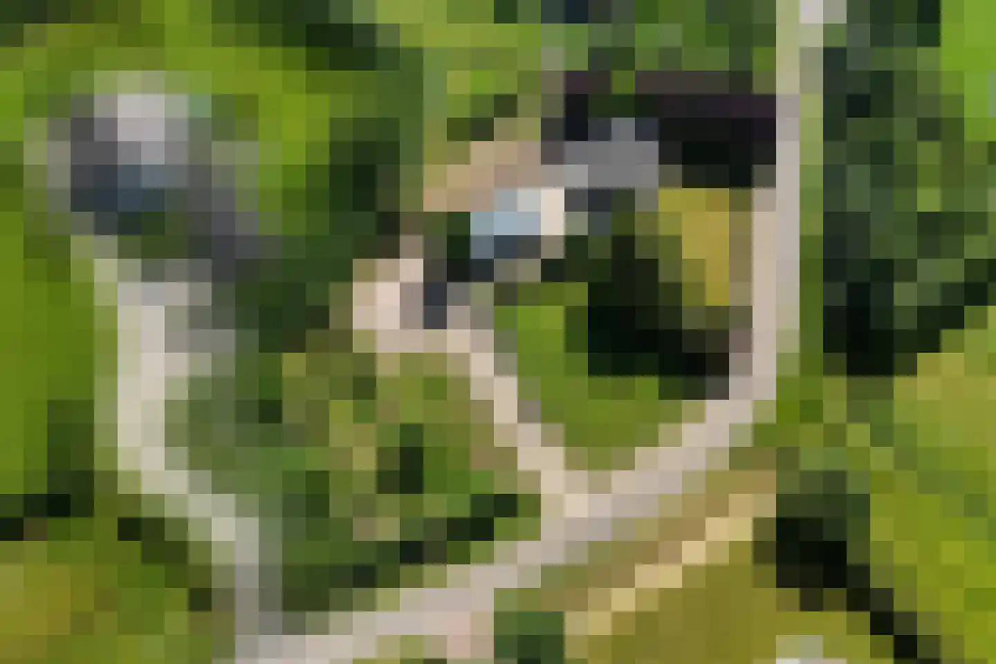 Snodenhoeksestraat 16 Elst thumbnail 7