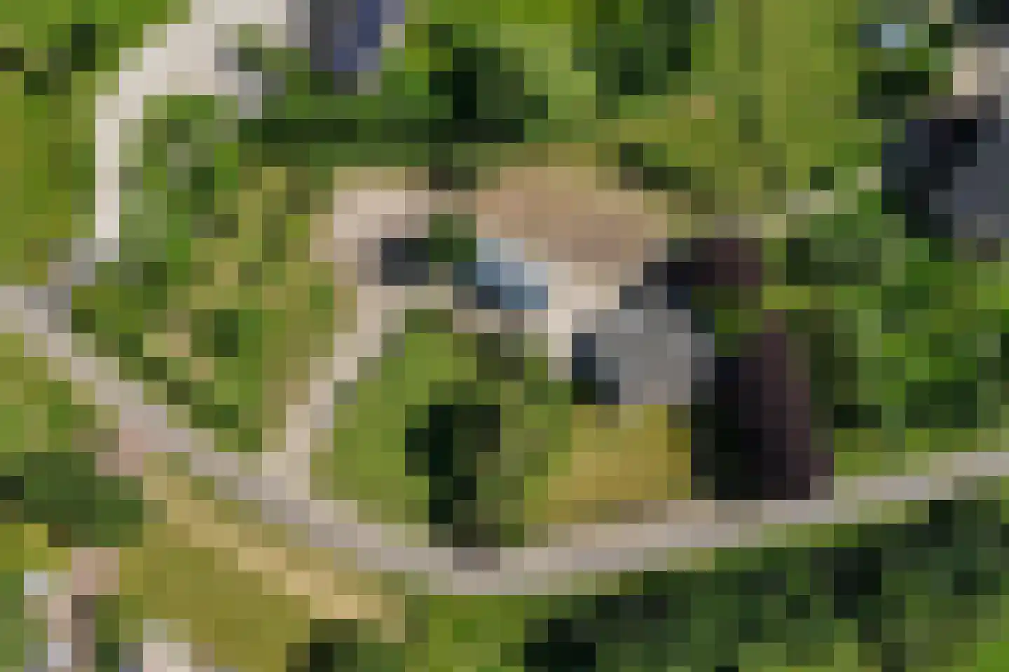 Snodenhoeksestraat 16 Elst thumbnail 8