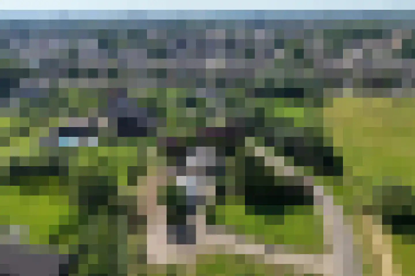 Snodenhoeksestraat 16 Elst thumbnail 9