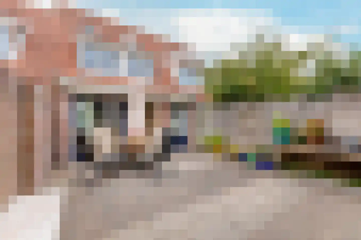 Snoeckenburg 11 Egmond-Binnen thumbnail 25
