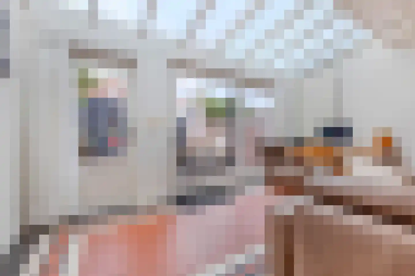 Snoeckenburg 11 Egmond-Binnen thumbnail 4