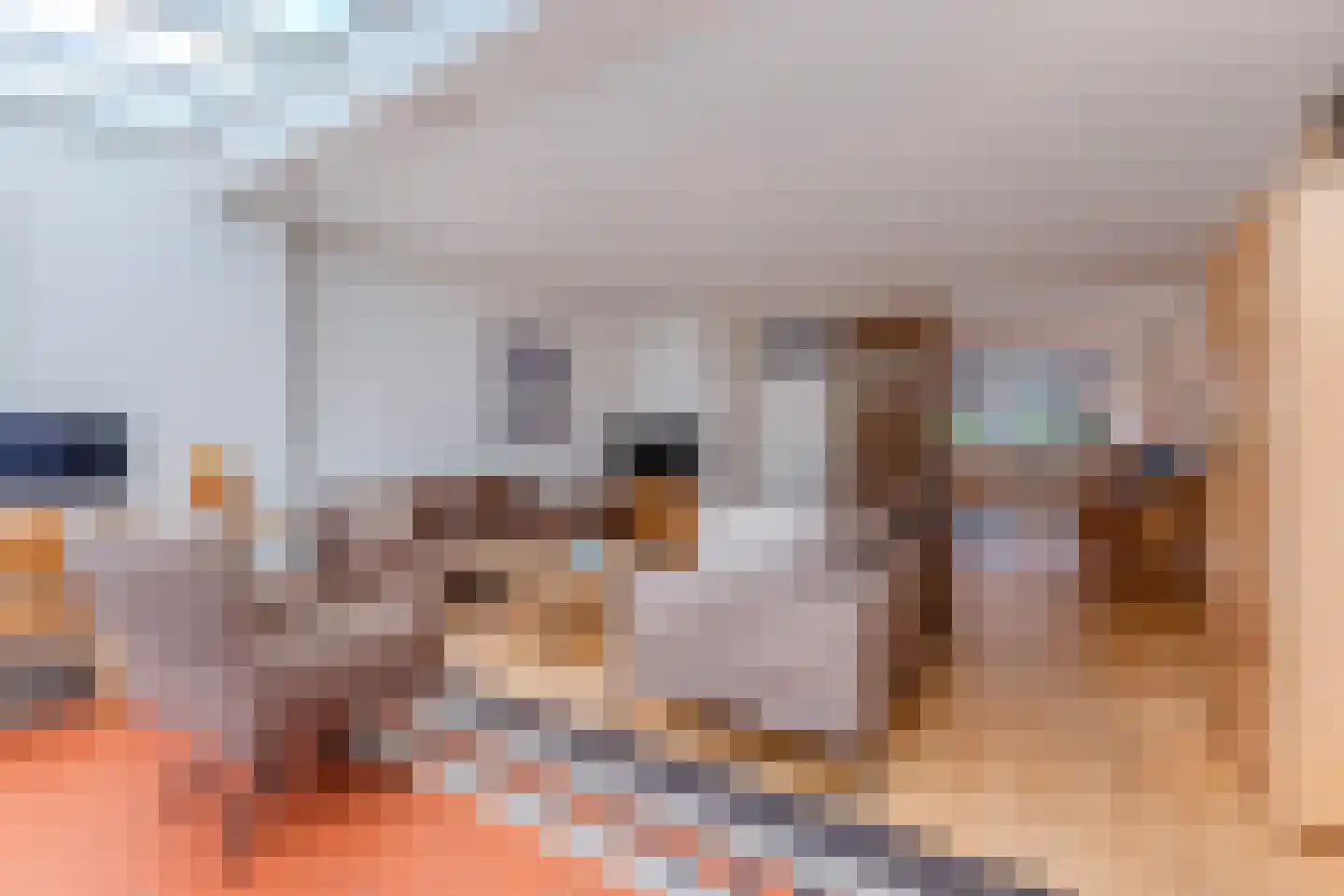 Snoeckenburg 11 Egmond-Binnen thumbnail 5