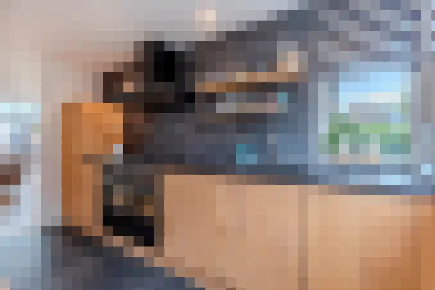 Snoeckenburg 11 Egmond-Binnen thumbnail 8