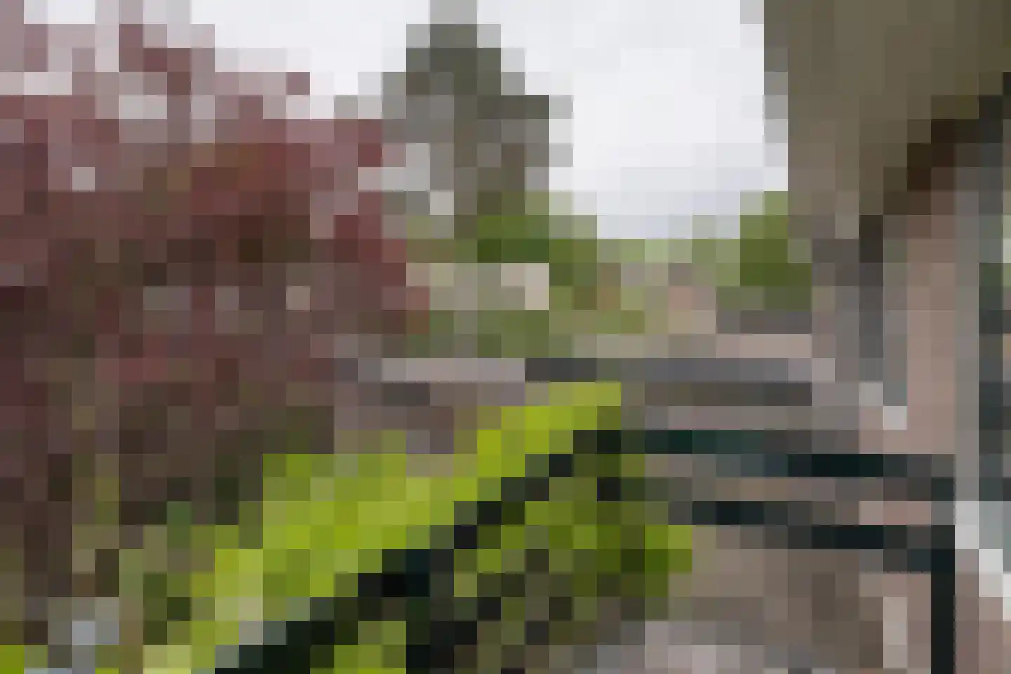 Snoeckgensheuvel 61 Amersfoort thumbnail 28