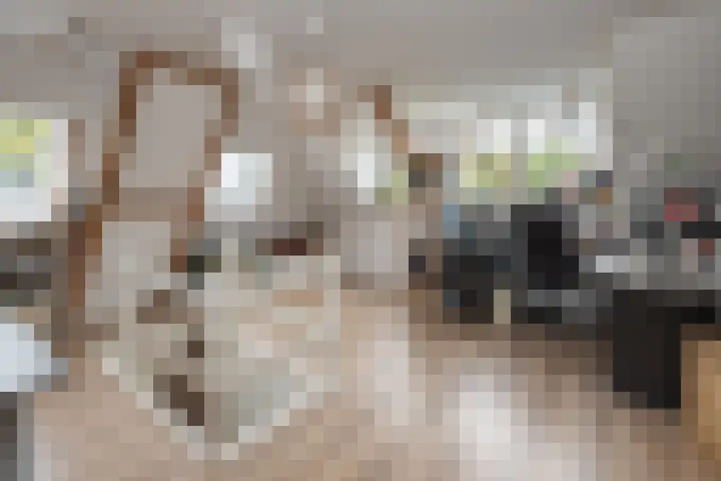 Snoeckgensheuvel 61 Amersfoort thumbnail 39