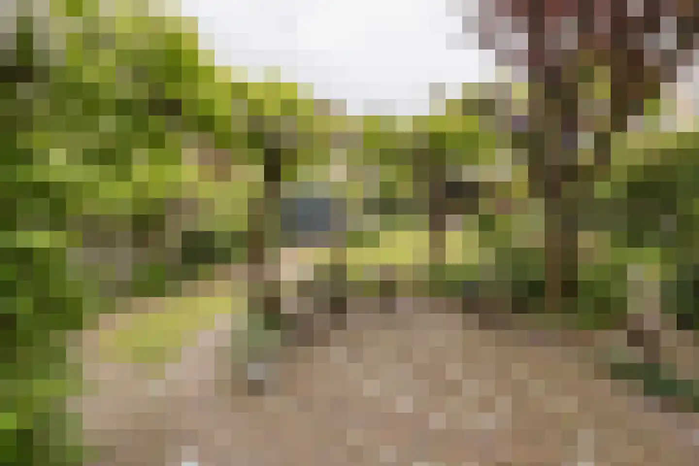 Snoeckgensheuvel 61 Amersfoort thumbnail 42