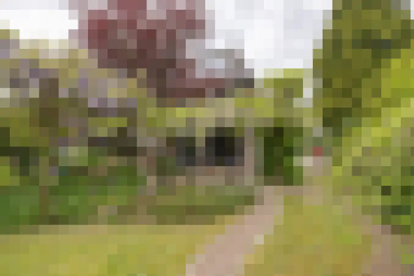 Snoeckgensheuvel 61 Amersfoort thumbnail 44
