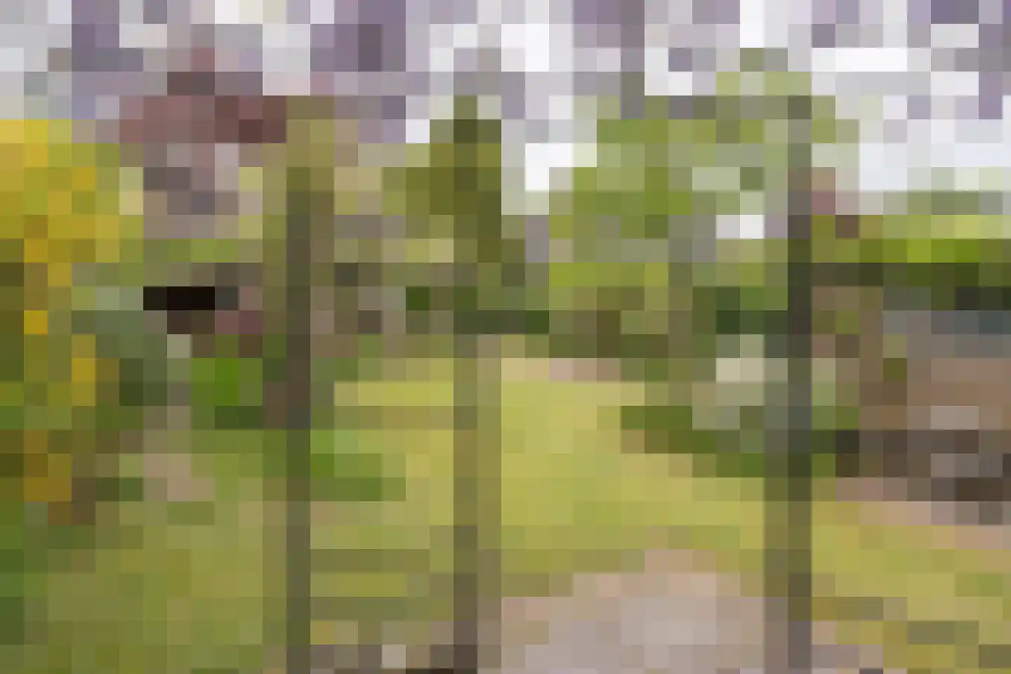 Snoeckgensheuvel 61 Amersfoort thumbnail 48
