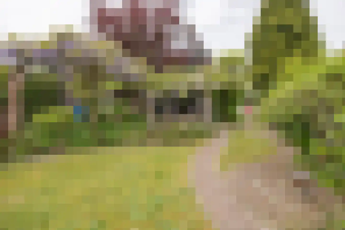 Snoeckgensheuvel 61 Amersfoort thumbnail 50