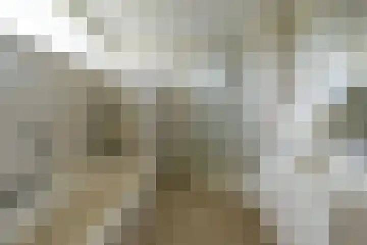 Snoek 1 Blaricum thumbnail 11