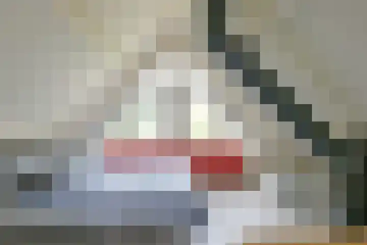 Snoek 1 Blaricum thumbnail 13