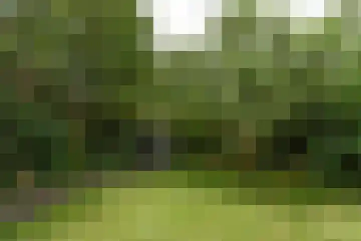 Snoek 1 Blaricum thumbnail 14