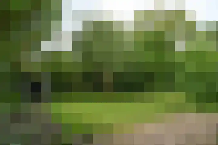 Snoek 1 Blaricum thumbnail 15
