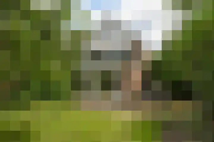 Snoek 1 Blaricum thumbnail 16
