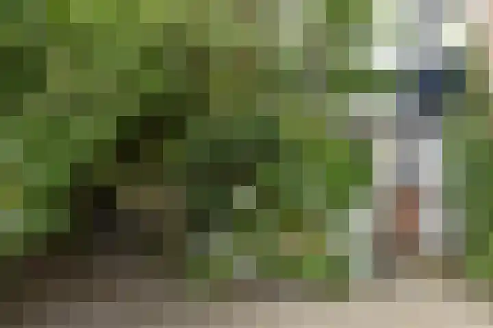 Snoek 1 Blaricum thumbnail 18